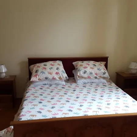 Piata Muzeului *