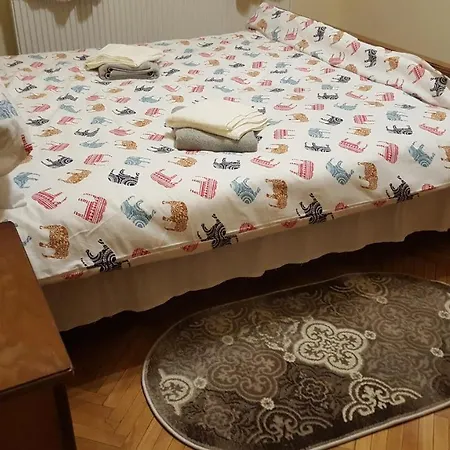 Appartement Piata Muzeului *
