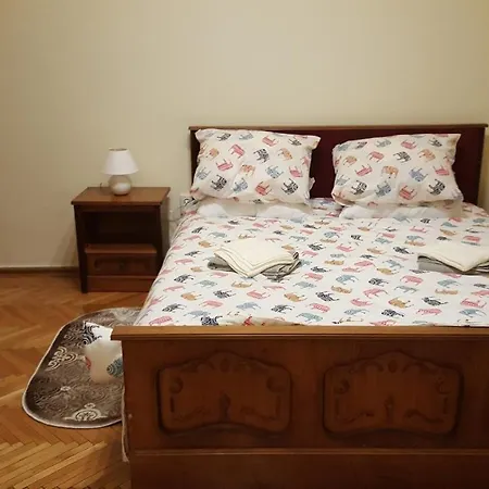 Appartement Piata Muzeului Cluj-Napoca